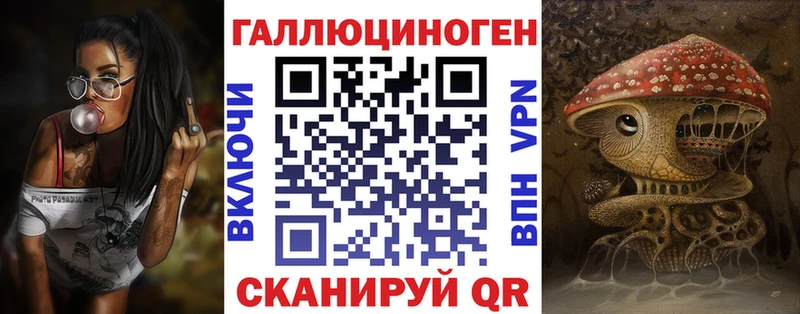 Купить закладки  Судак  Галлюциногенные грибы MAGIC MUSHROOMS 